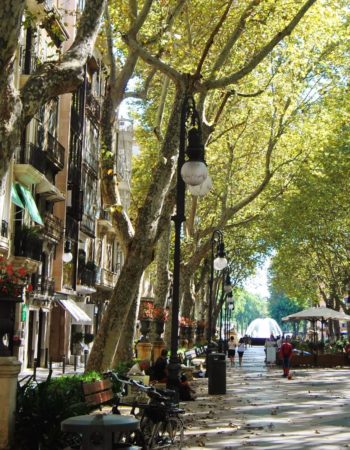 Shopping Brač | Dodajte oglas