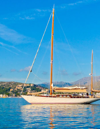 Boat Trips Brač | Dodajte oglas